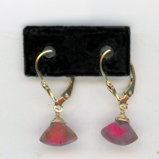 Ruby in Zoizite Earrings